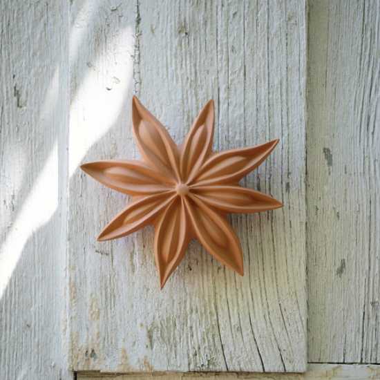 Fleur de Badiane Terracotta - Monochromic