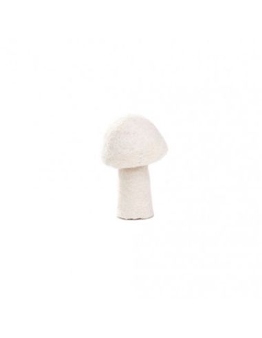 Petit champignon Blanc - Muskhane